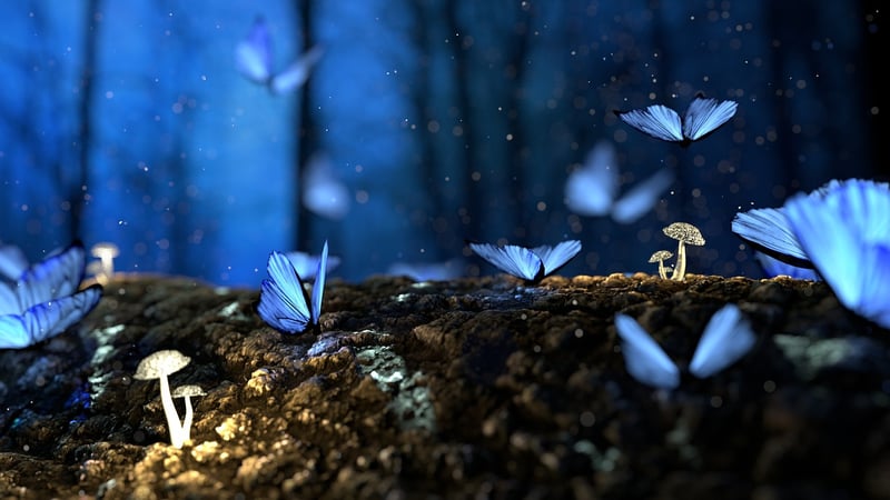 Enchanted seminars